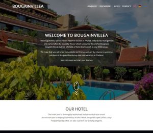 Bougainvillea - Melki.Biz - Consulting, SEO & Web Design in Phuket